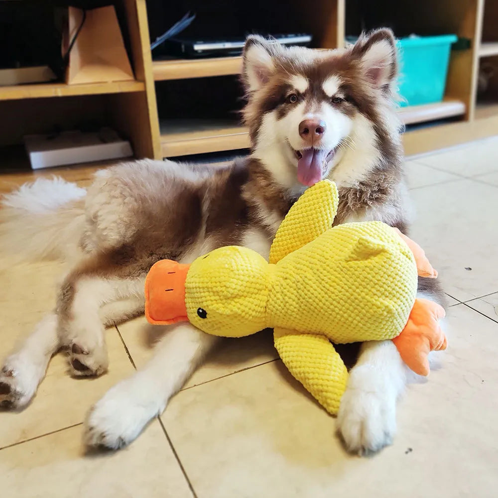 Fun Squeaky Dog Toy with Sound and Cleaning Bristles