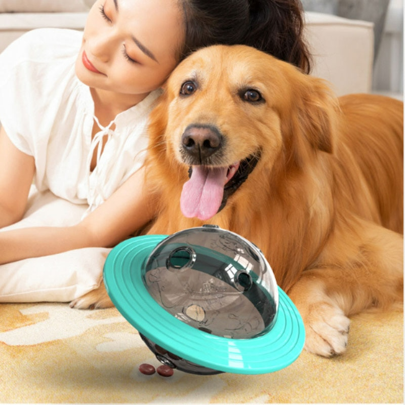 Fun Treat Dispensing Dog Puzzle Toy - Befez