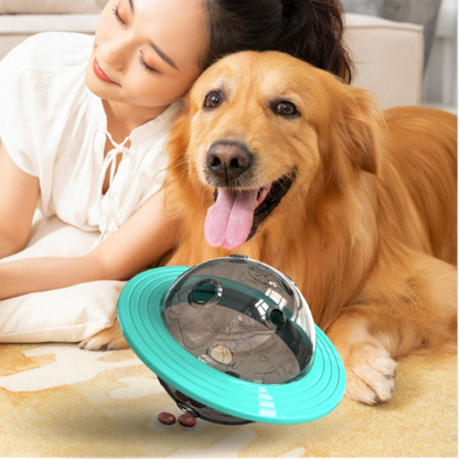 Fun Treat Dispensing Dog Puzzle Toy - Befez