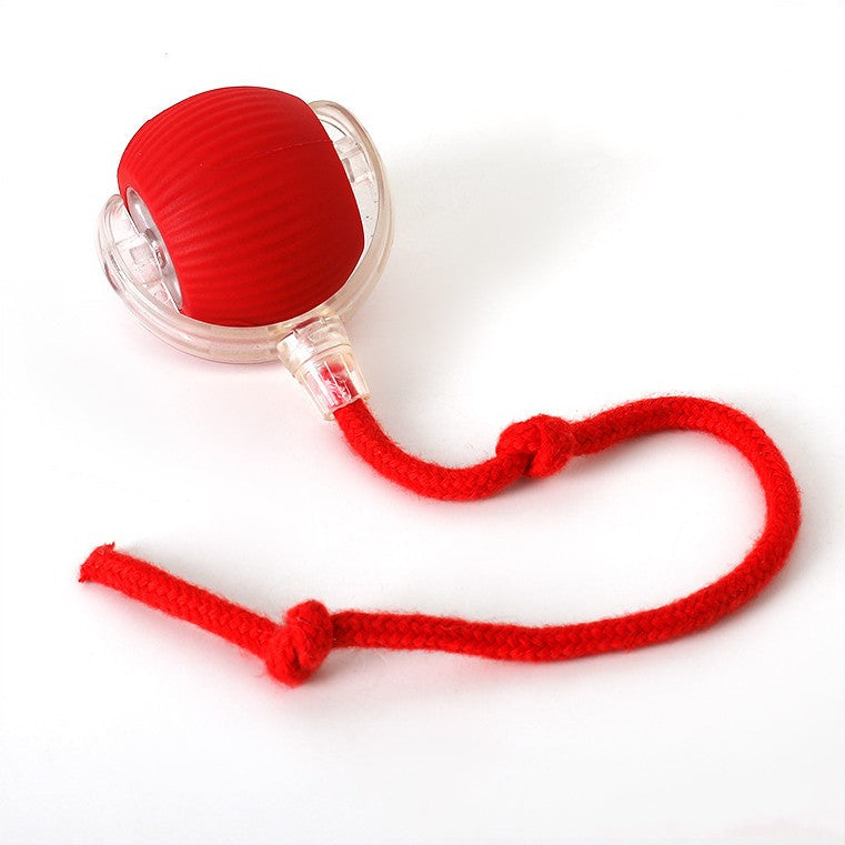 Fun Cat Toy Ball - Interactive Play Befez - Befez