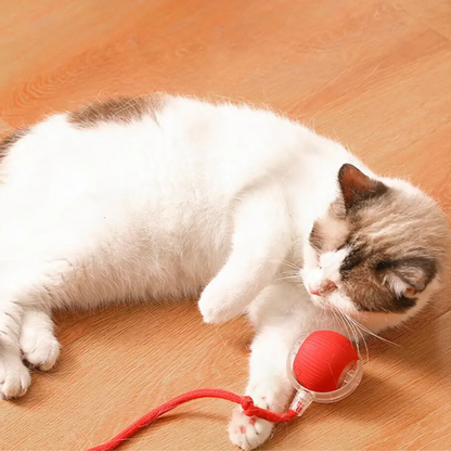 Fun Cat Toy Ball - Interactive Play Befez