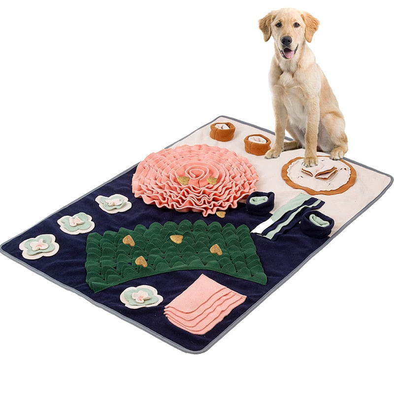 Fun Hide Treat Dog Mat