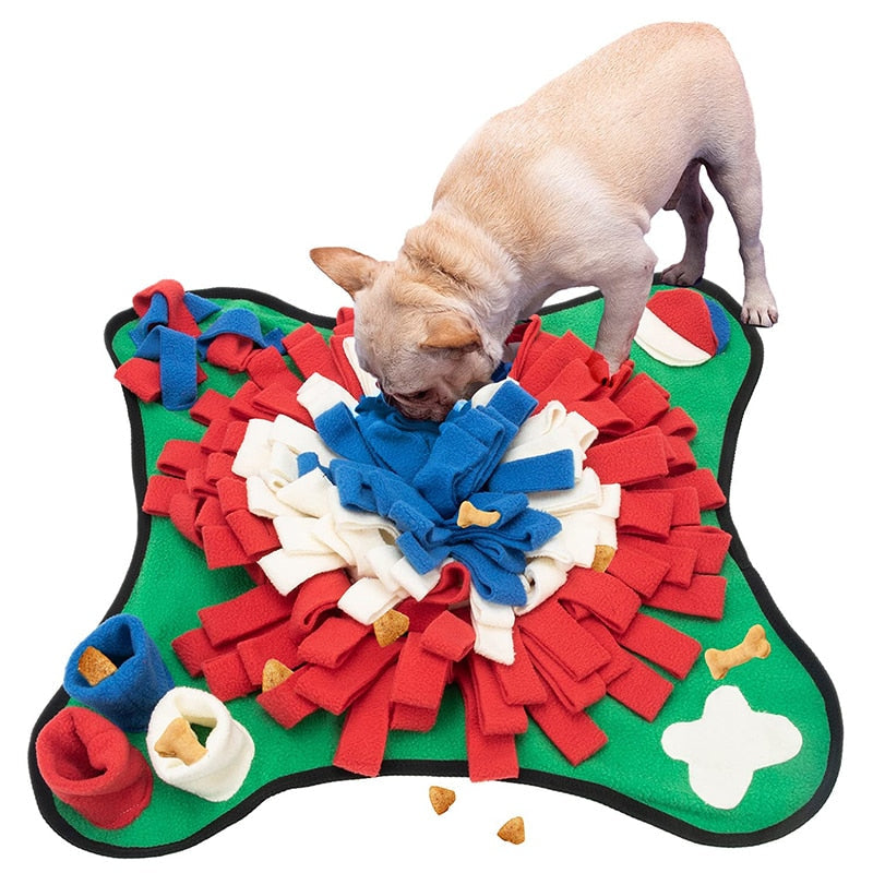 Fun Hide Treat Dog Mat