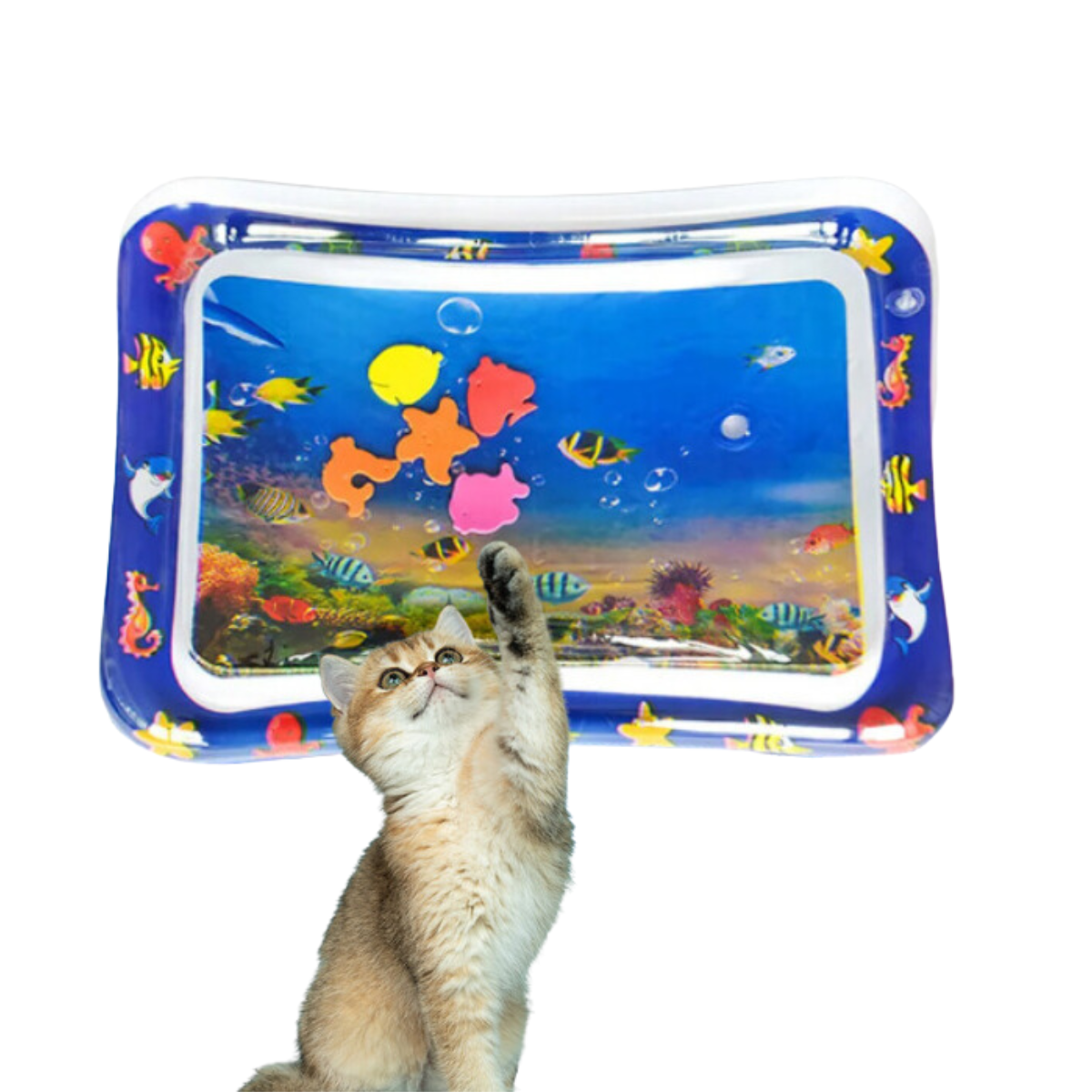 Fun Pet Water Play Mat for Cats - Befez