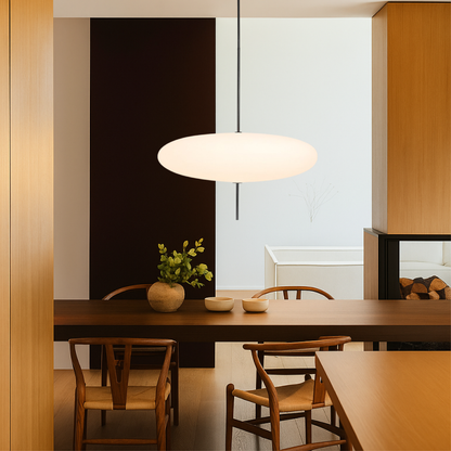 Modern Minimalist Pendant Light Fixture