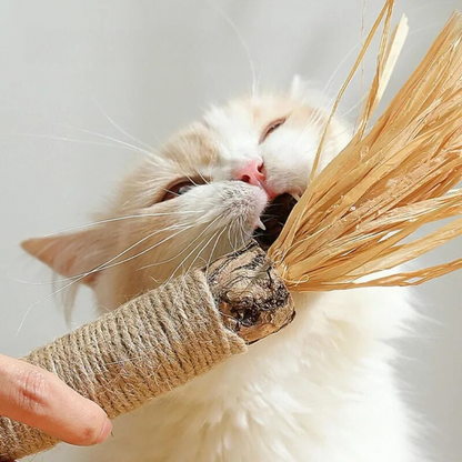 Pet Dental Chews Cat Teeth Cleaning Sticks
