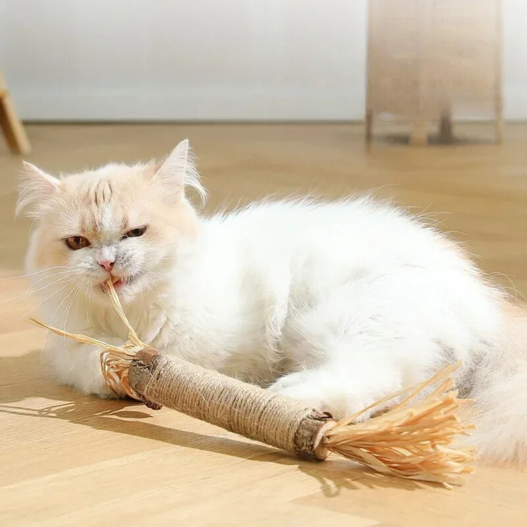 Pet Dental Chews Cat Teeth Cleaning Sticks