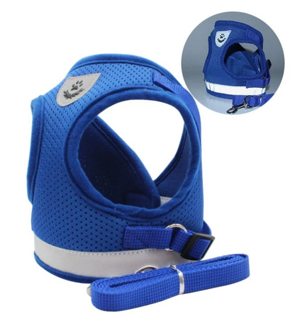 Secure Cat Harness for Outdoor Exploration