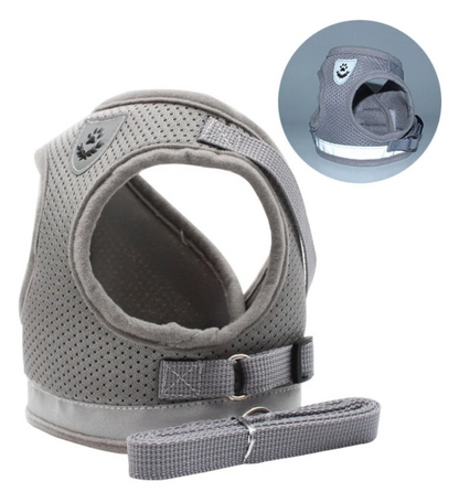 Secure Cat Harness for Outdoor Exploration