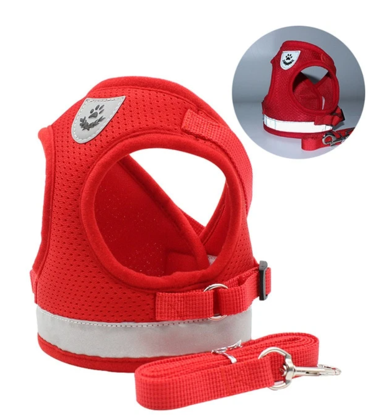 Secure Cat Harness for Outdoor Exploration