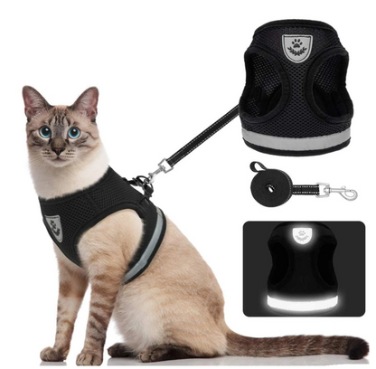 Secure Cat Harness for Outdoor Exploration