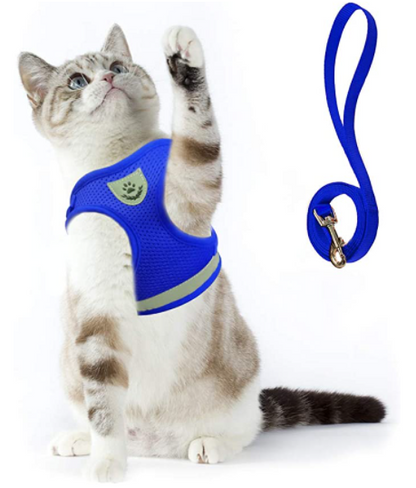 Secure Cat Harness for Outdoor Exploration