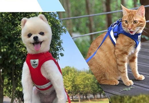 Secure Cat Harness for Outdoor Exploration