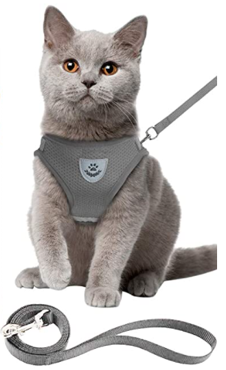 Secure Cat Harness for Outdoor Exploration