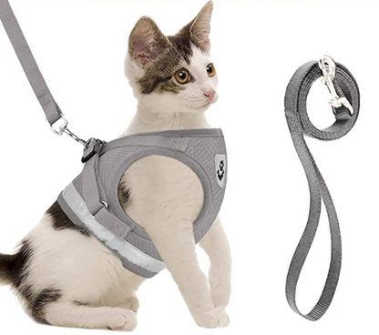 Secure Cat Harness for Outdoor Exploration