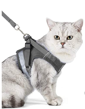 Secure Cat Harness for Outdoor Exploration