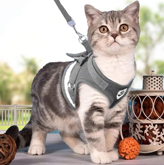 Secure Cat Harness for Outdoor Exploration