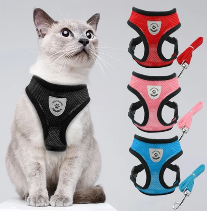 Secure Cat Harness for Outdoor Exploration
