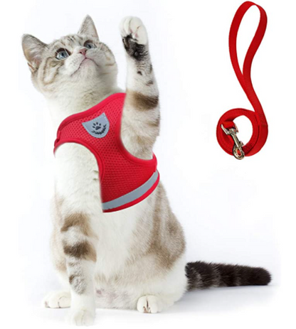 Secure Cat Harness for Outdoor Exploration