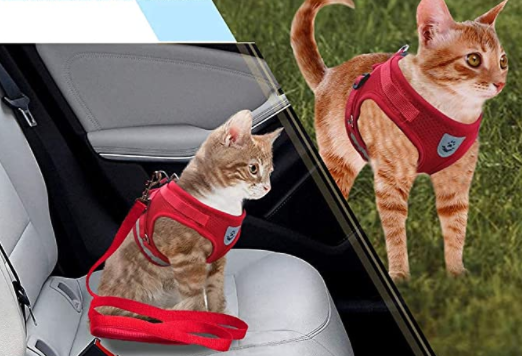 Secure Cat Harness for Outdoor Exploration