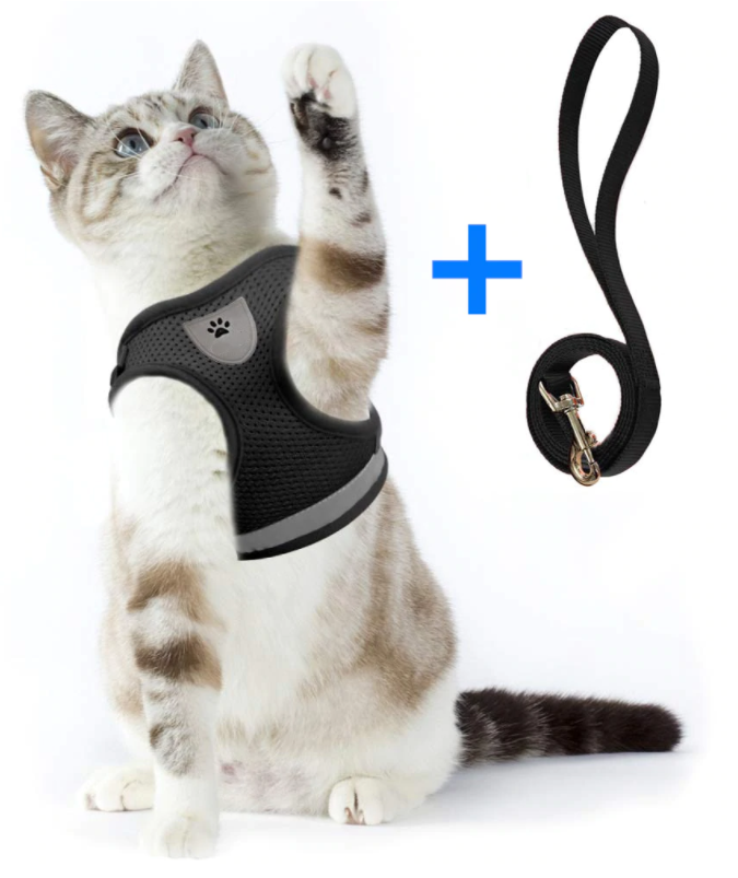 Secure Cat Harness for Outdoor Exploration
