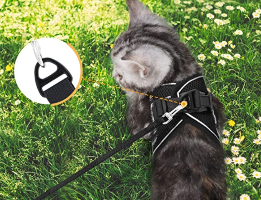 Secure Cat Harness for Outdoor Exploration