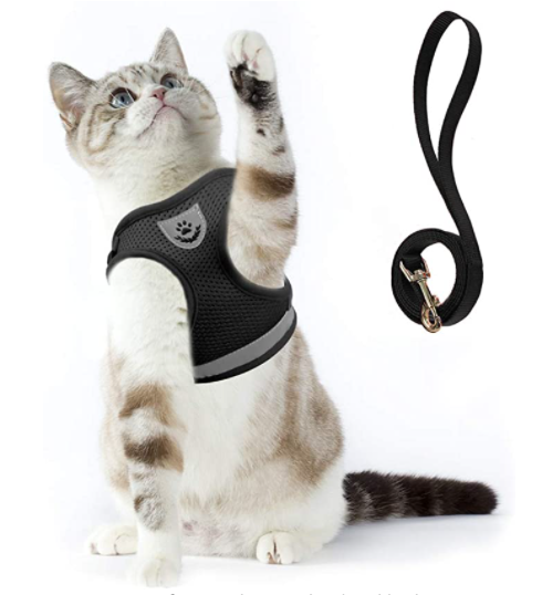 Secure Cat Harness for Outdoor Exploration