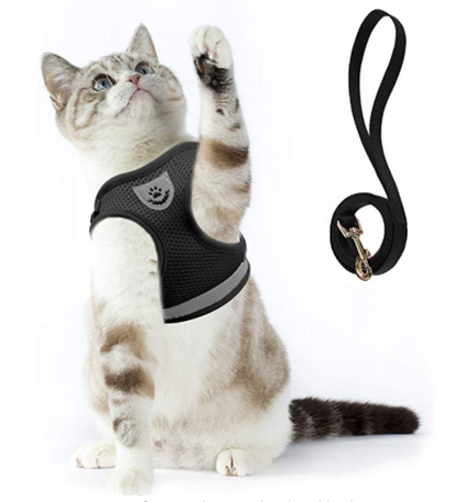 Secure Cat Harness for Outdoor Exploration