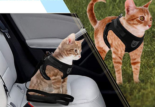 Secure Cat Harness for Outdoor Exploration