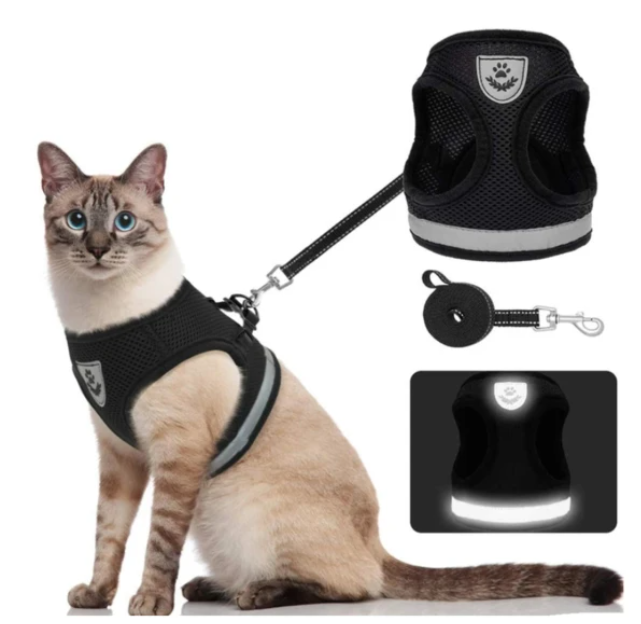 Secure Cat Harness for Outdoor Exploration