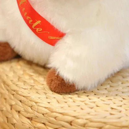 Cute Capybara Congrats Soft Toys