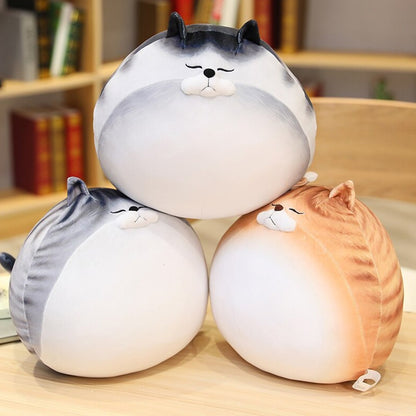 Funny Cat Lover Tee