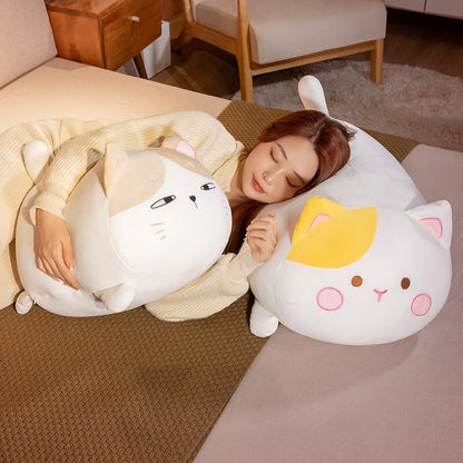 Cute Cat Plush Friends Set