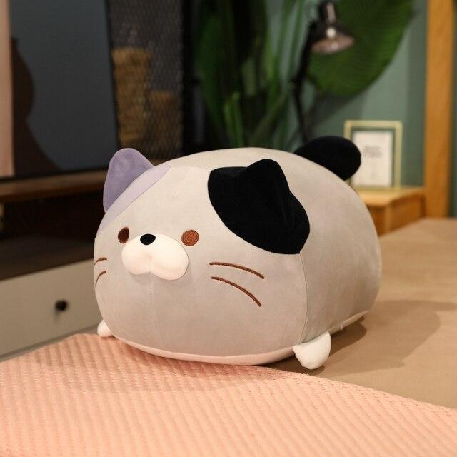 Fun Cat Lover Gift