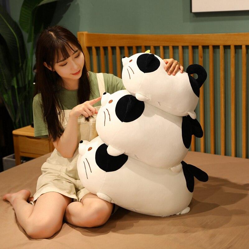 Fun Cat Lover Gift