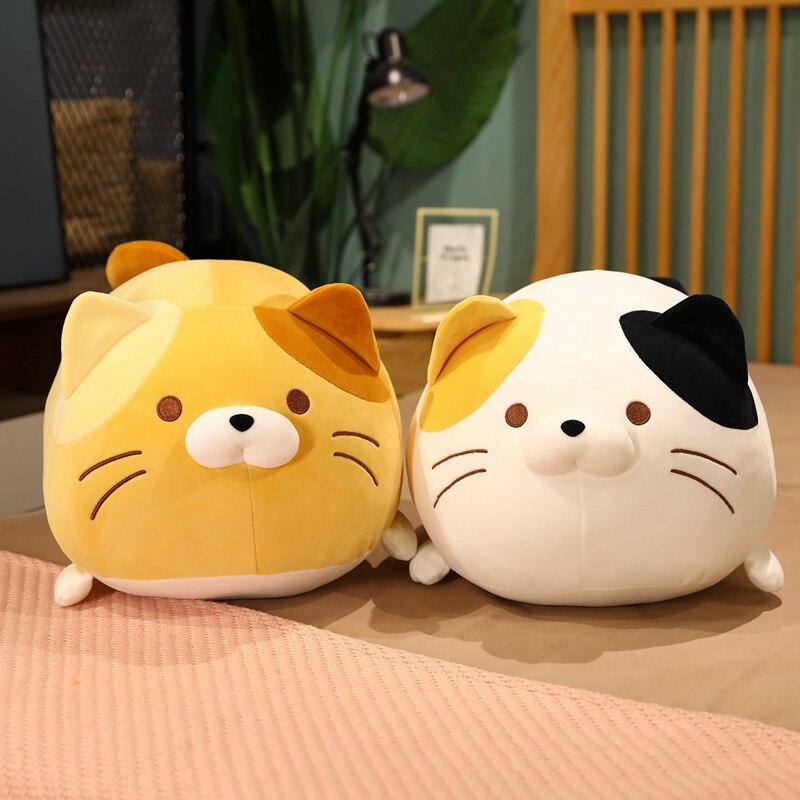 Fun Cat Lover Gift - Befez