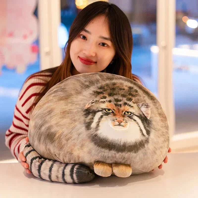 Cuddly Pallas Cat Soft Toy