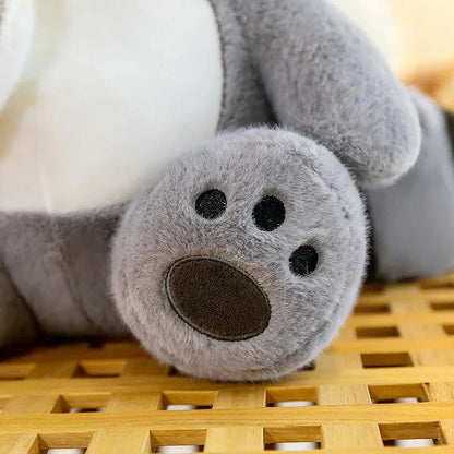 Cuddly Raccoon Soft Plush Toy Friends