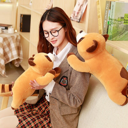 Cuddly Brown Teddy Raccoon Plush Toy