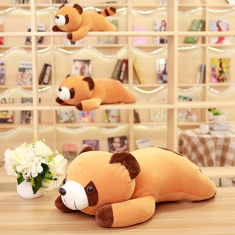 Cuddly Brown Teddy Raccoon Plush Toy