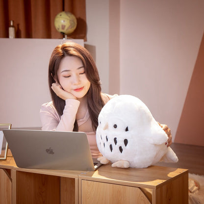 Befez | Adorable Big Eye Owl Stuffed Toys