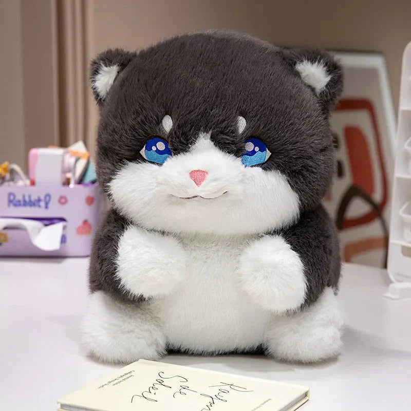Adorable Fat Grey Kitten Soft Toys - Befez