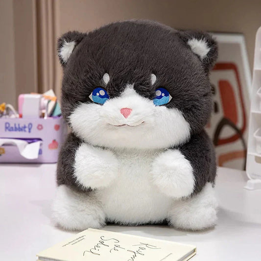 Adorable Fat Grey Kitten Soft Toys - Befez