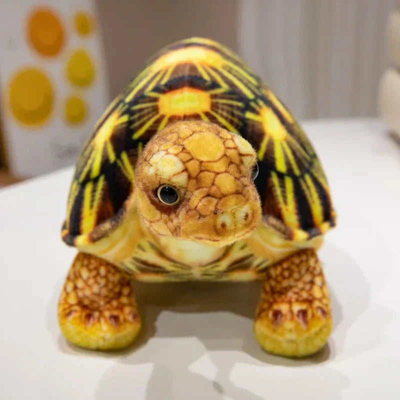 Adorable Realistic Turtle Soft Toy
