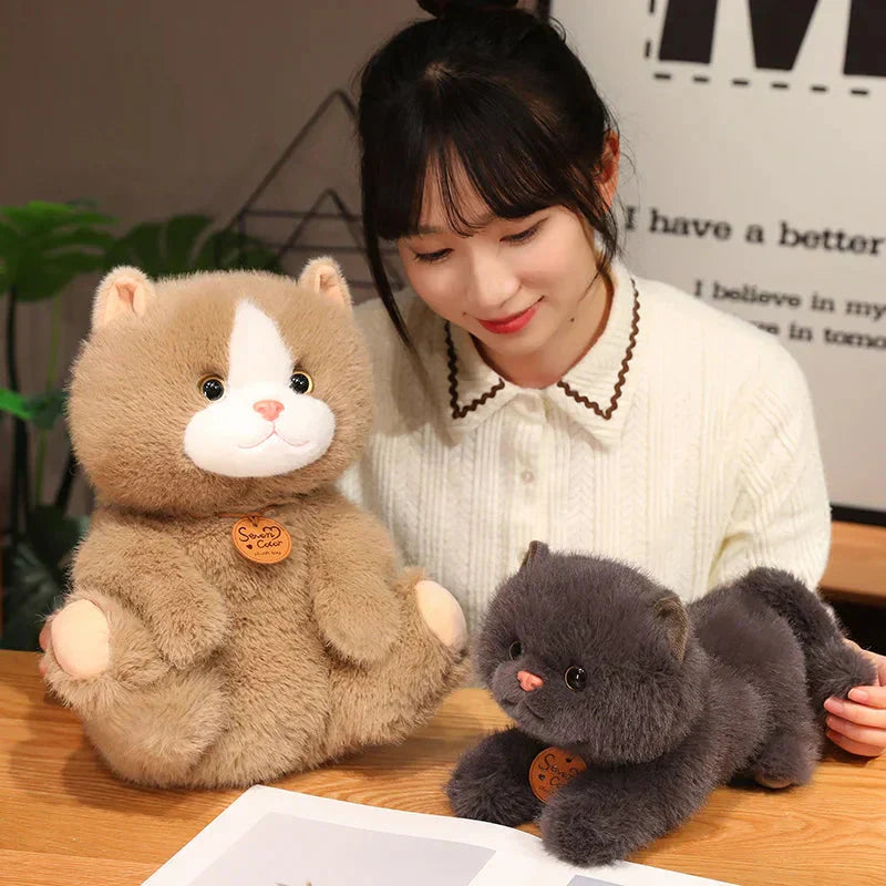 Cuddly Cat Friends Soft Plush Toys