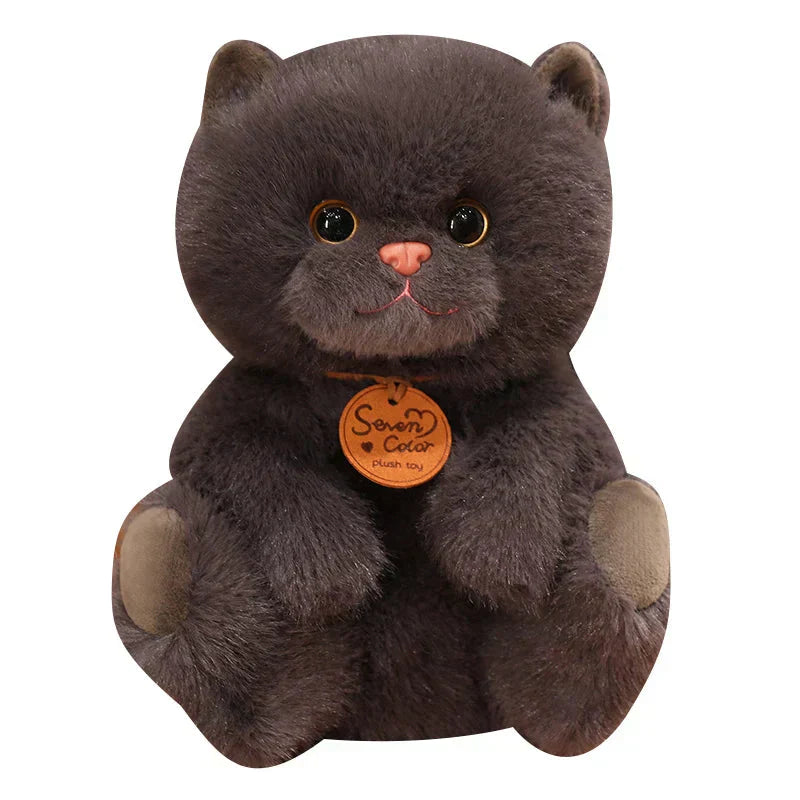 Cuddly Cat Friends Soft Plush Toys - Befez
