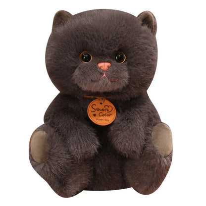 Cuddly Cat Friends Soft Plush Toys - Befez