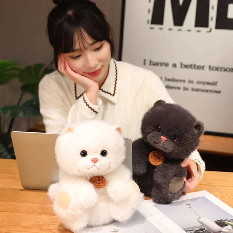 Cuddly Cat Friends Soft Plush Toys