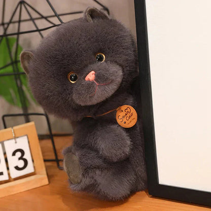 Cuddly Cat Friends Soft Plush Toys