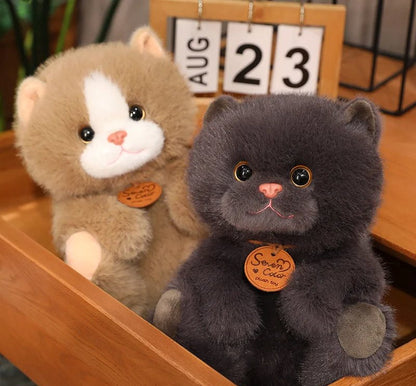 Cuddly Cat Friends Soft Plush Toys